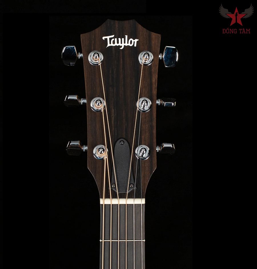 dan-guitar-acoustic-taylor-210-ce