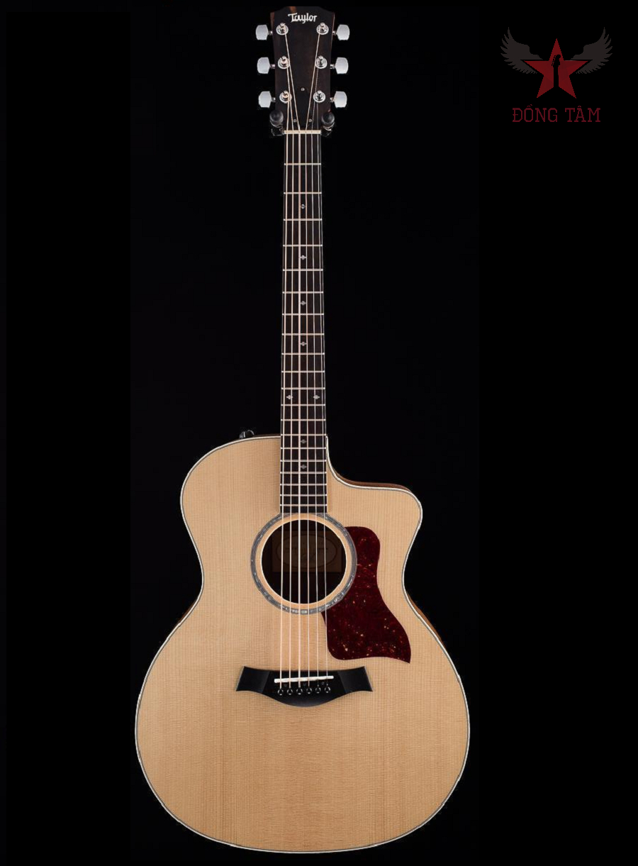 taylor-214ce-k-dlx-guitar-a2b4