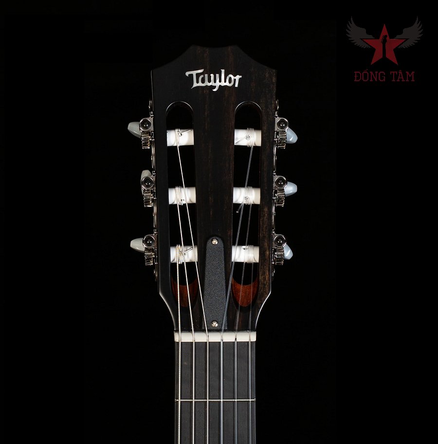 guitar-taylor-312-ce-n