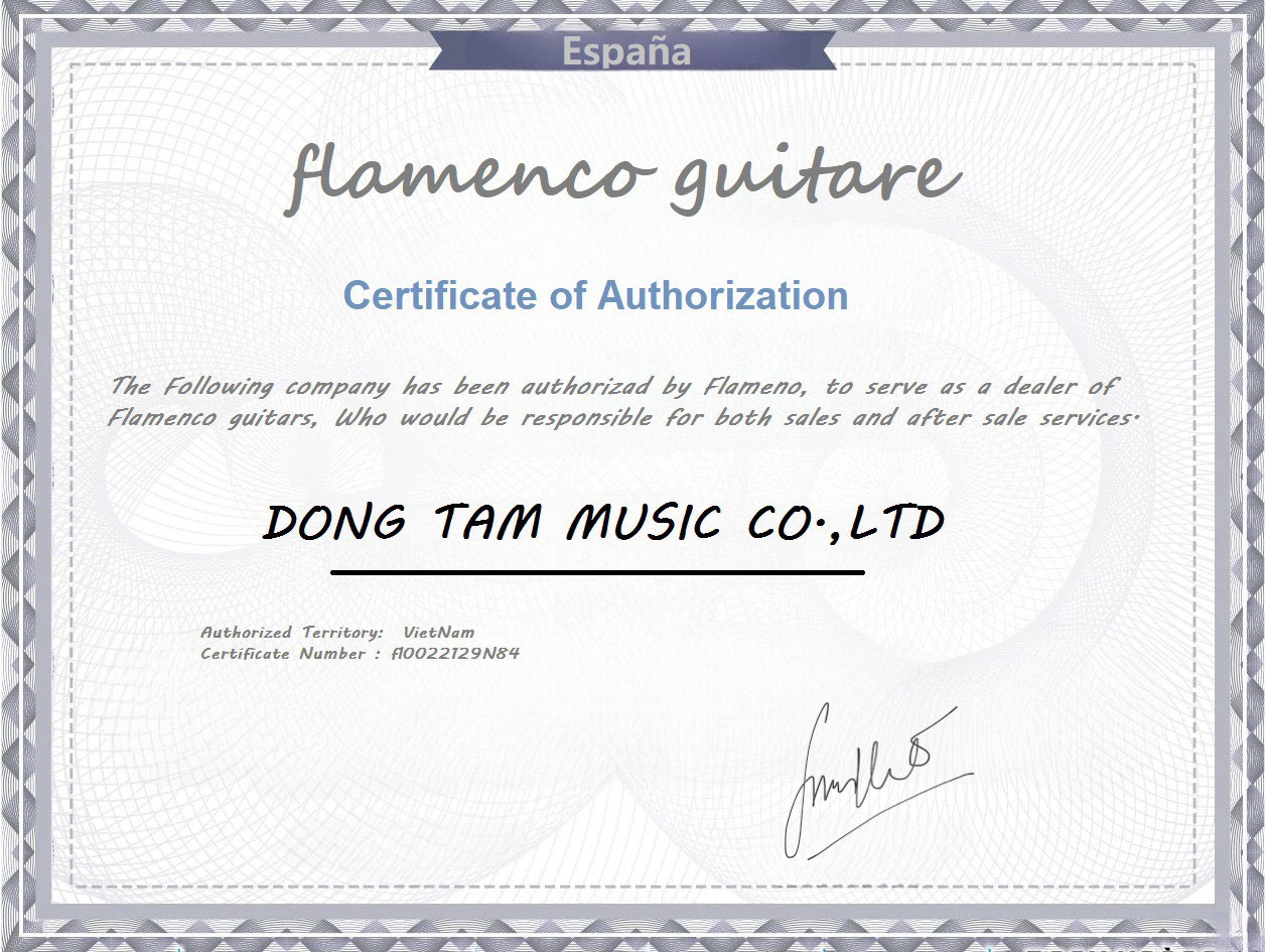 guitar_flamenco_chinh_hang