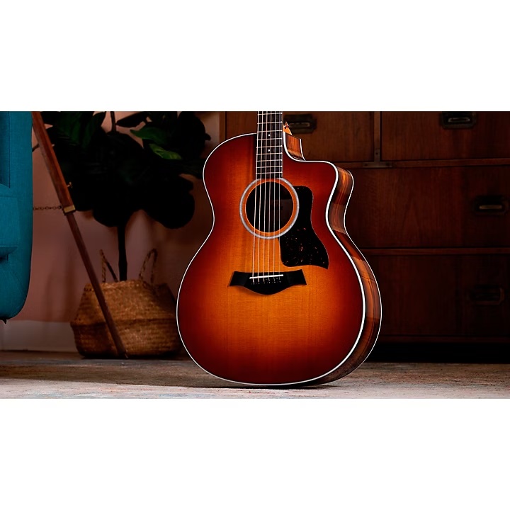 dan-guitar-acoustic-taylor-214ce-plus-ziricote-special