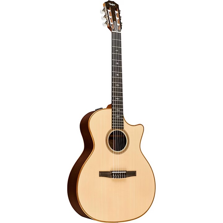 dan-guitar-taylor-714ce-n