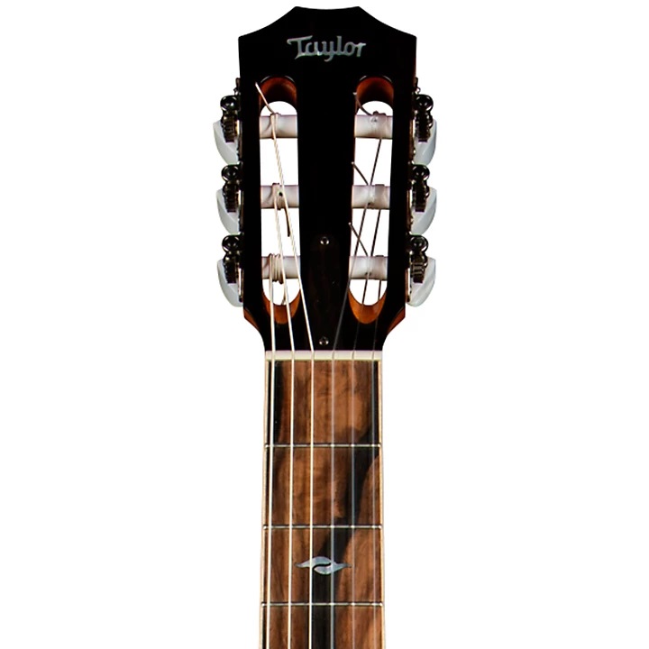 taylor-814ce-n-can-dan