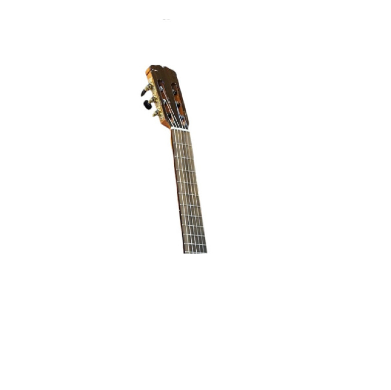 dan-guitar-classic-gotar-g4c-can-dan-net