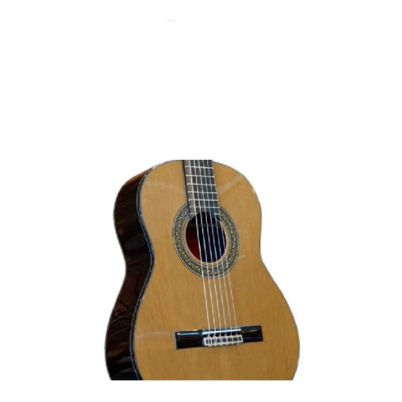 dan-guitar-classic-gotar-g4c-mat-top-net