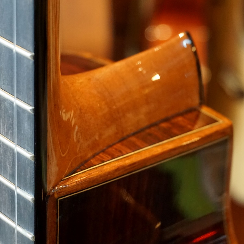 dan-guitar-classic-gotar-fusion-rwe-s-1-phan-mat-hong-cat