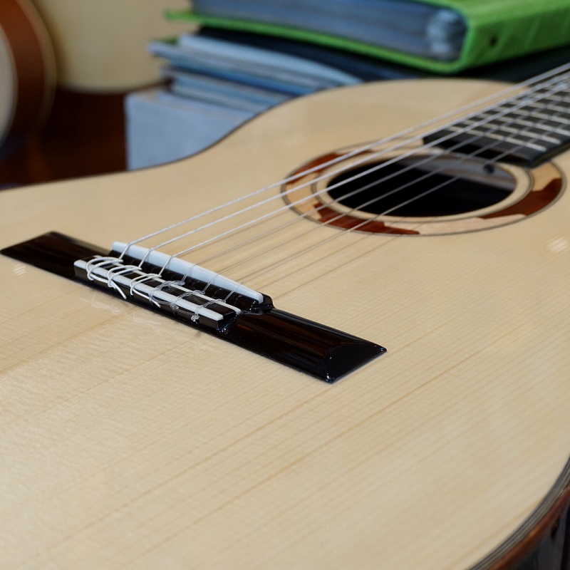 dan-guitar-classic-gotar-fusion-rwe-s-ngua-va-luoc-dan-cat