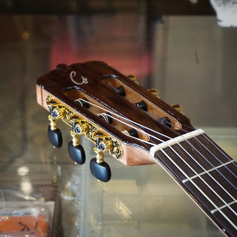 dan-guitar-classic-gotar-gf55-ce-luoc-dan