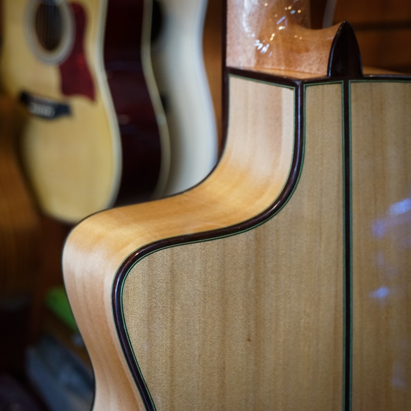 dan-guitar-classic-gotar-gf55-ce-mat-lung-va-hong