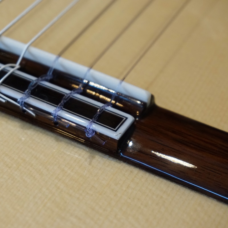 dan-guitar-classic-gotar-gf55-ce-phim-dan-va-ngua-dan