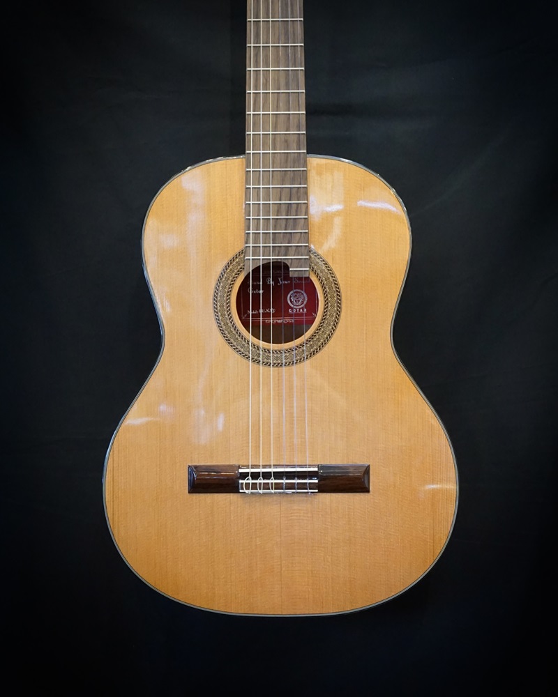 dan-guitar-classic-gotar-sunny-mat-top