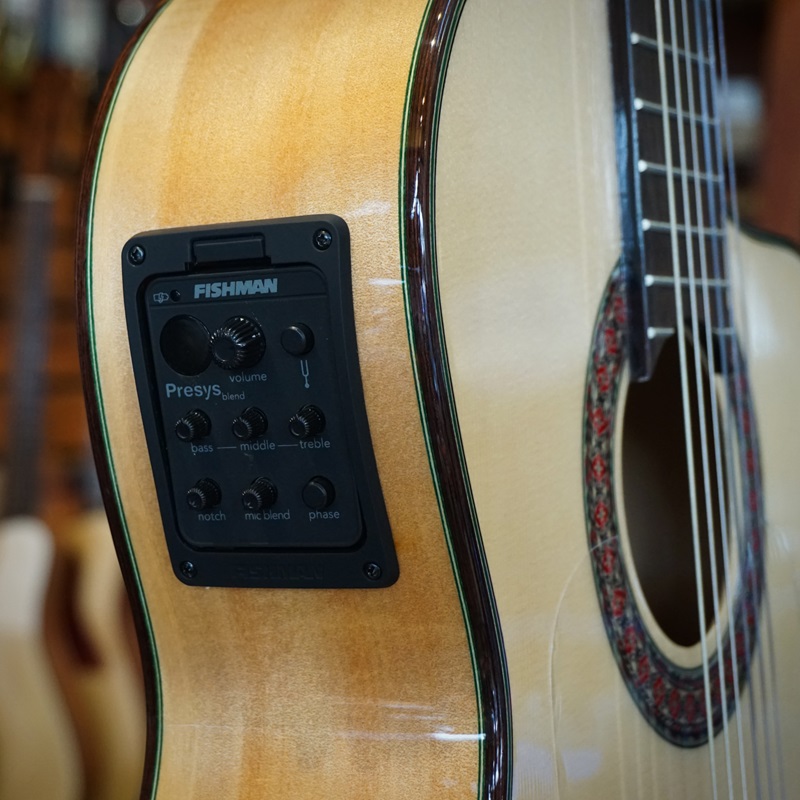 he-thong-dien-tu-cua-dan-guitar-classic-gotar-gf55-ce