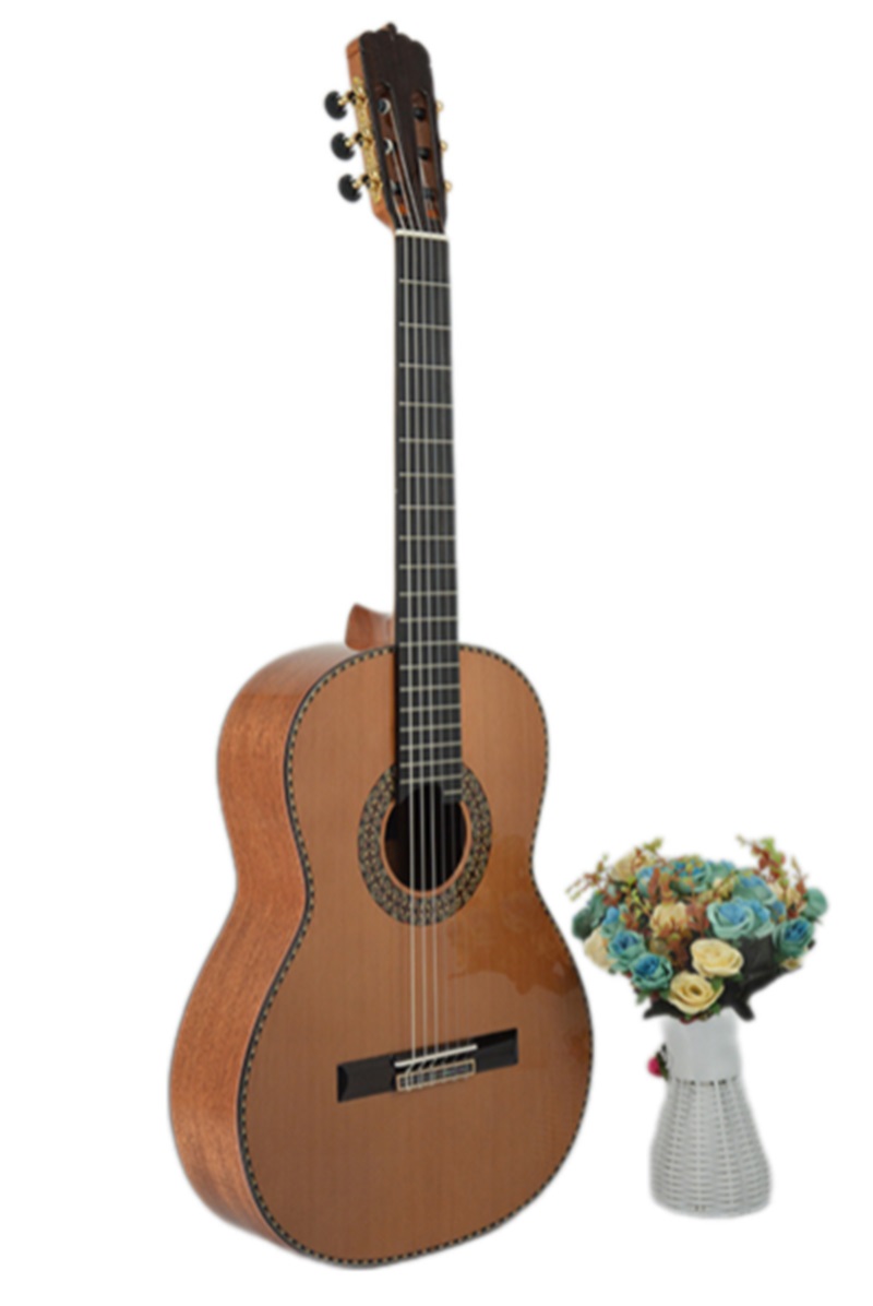 dan-guitar-classic-kids-gotar-g18c-mat-hong