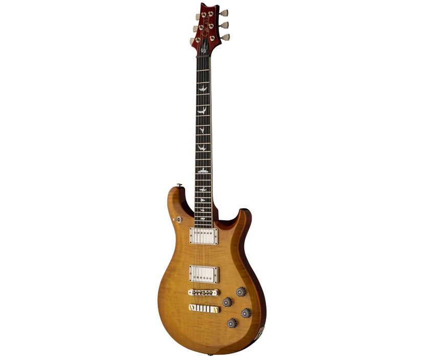 dan-guitar-dien-prs-s2-10th-anniversary-mccarty-594-limited-edition-hh-rosewood-fingerboard-body