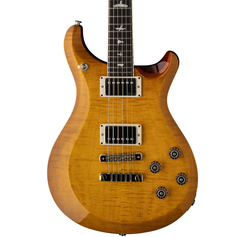 dan-guitar-dien-prs-s2-10th-anniversary-mccarty-594-limited-edition-hh-rosewood-fingerboard-pickup