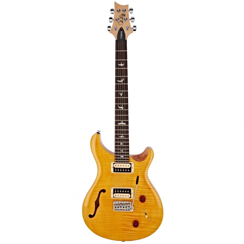 mat-truoc-dan-guitar-dien-prs-se-custom-22-semi-hollow--rosewood-fingerboard