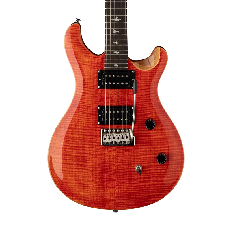 pickup-dan-guitar-dien-prs-se-ce24-hh-rosewood-fingerboard