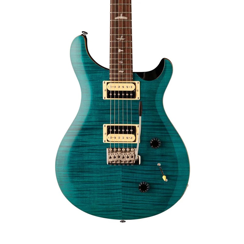 pickup-dan-guitar-dien-prs-se-custom-22-hh-rosewood-fingerboard