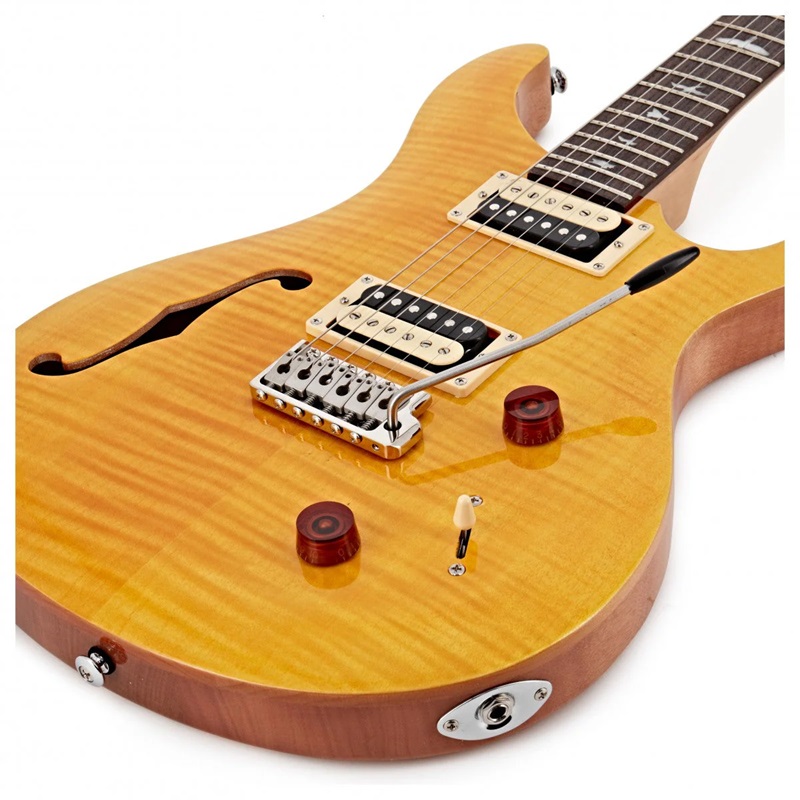 pickupdan-guitar-dien-prs-se-custom-22-semi-hollow--rosewood-fingerboard