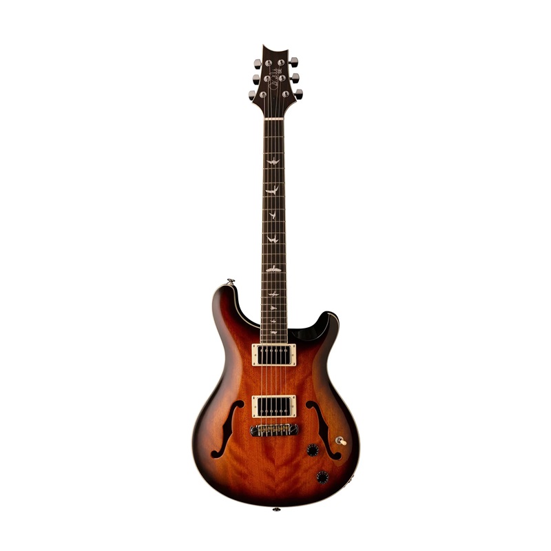 dan-guitar-dien-prs-se-hollowbody-standard-hh-ebony-fingerboard