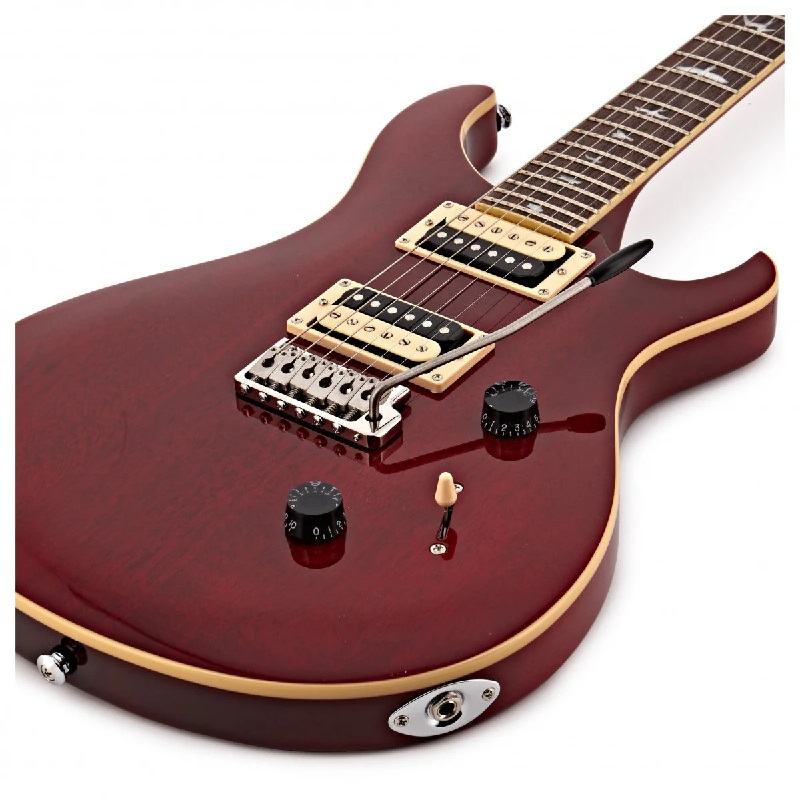 dan-guitar-dien-prs-se-standard-24-hh-rosewood-fingerboard-mat-top-nghieng