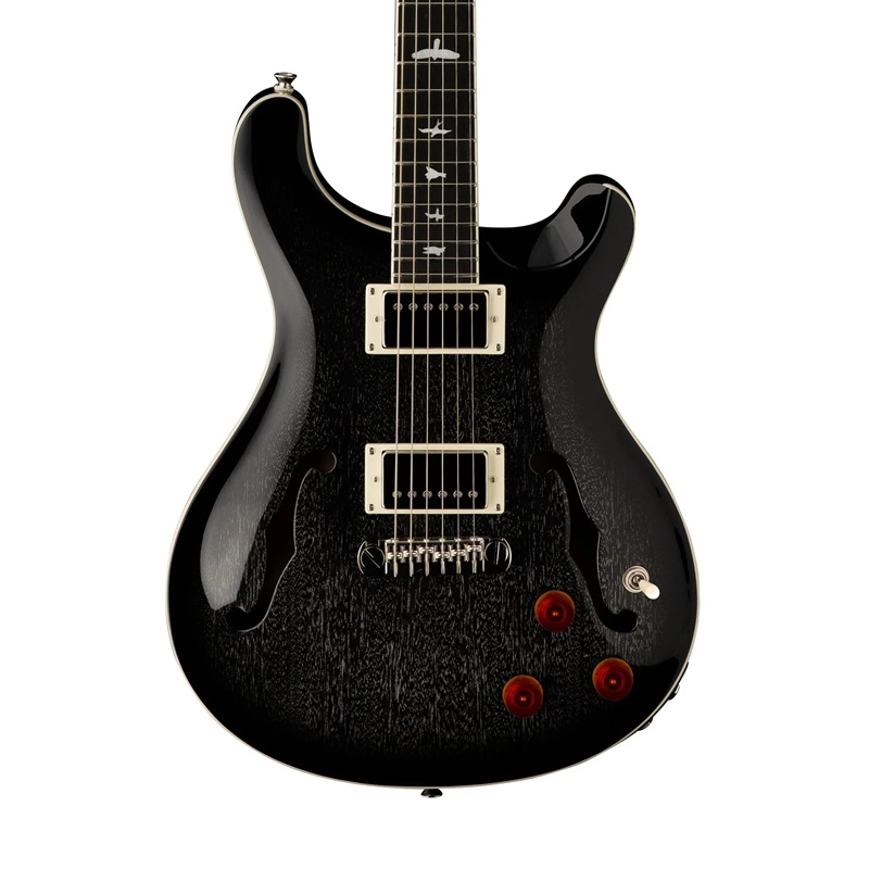 pickup-dan-guitar-dien-prs-se-hollowbody-standard-piezo--ebony-fingerboard-dog-hair-smokeburst