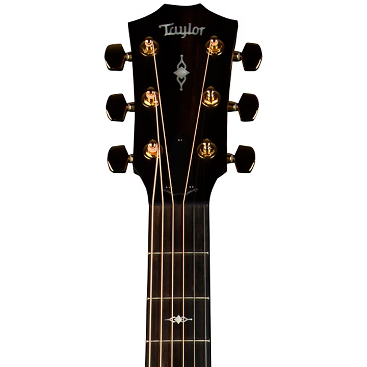 taylor-50th-anniversary-314ce-ltd-khoa