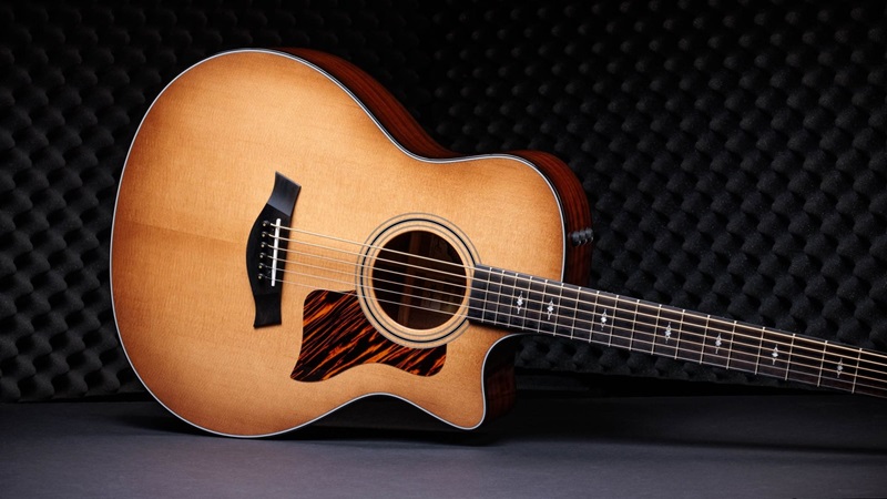 dan-acoustic-taylor-50th-anniversary-316ce-baritone-6-ltd-phim-dan