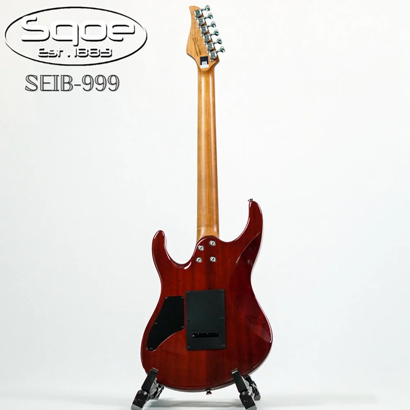 dan-guitar-dien-sqoe-seib999-hh-mat-sau