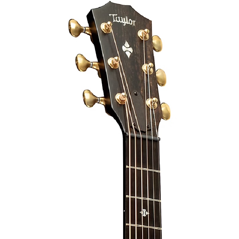 dan-guitar-acoustic-taylor-builders-edition-324ce-khoa-dan-va-phim-dan