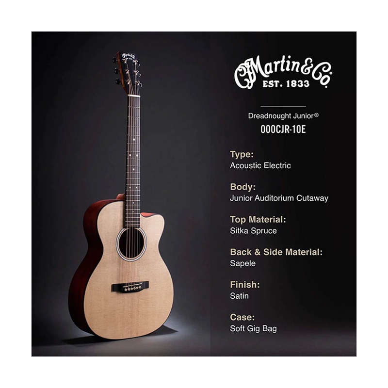 dan-guitar-acoustic-martin-000-10e