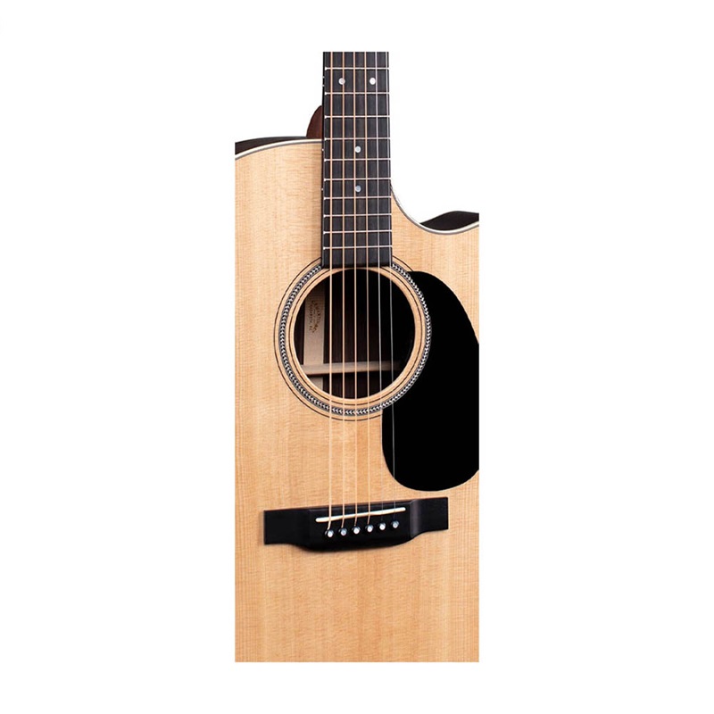 dan-guitar-acoustic-martin-gpc-16e-rosewood-–-16-series-phim-dan-va-ngua-dan