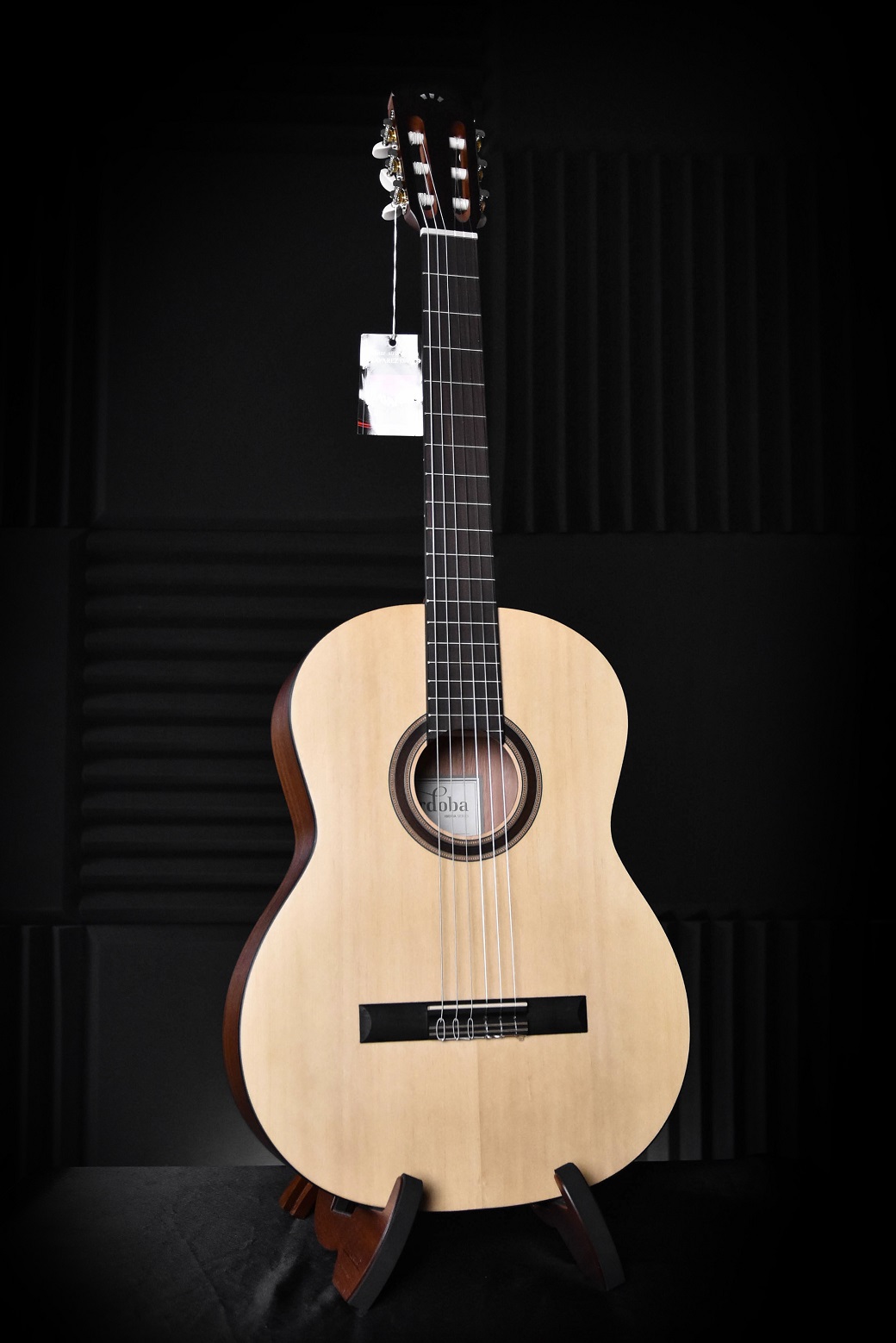 guitar-cordoba-cp-100