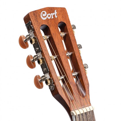 khoa-dan-guitar-cort-af590mf