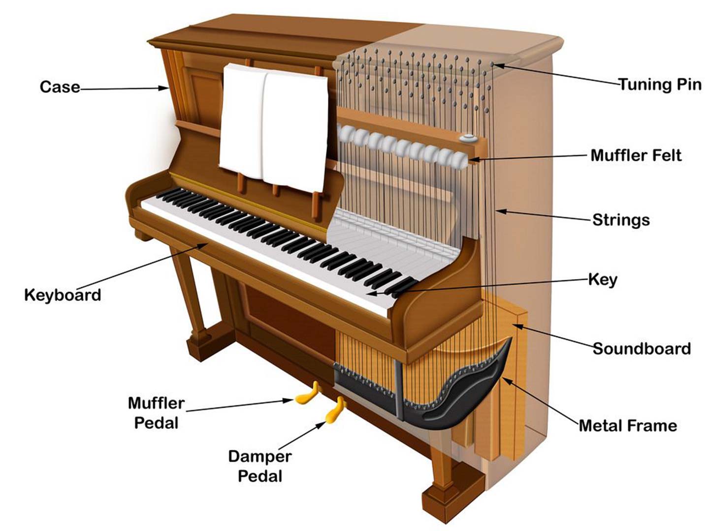 cach-chon-piano-co-cu