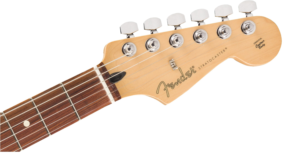 anh-dan-guitar-dien-fender-can-