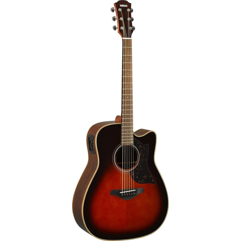 dan-guitar-acoustic-yamaha-a1r