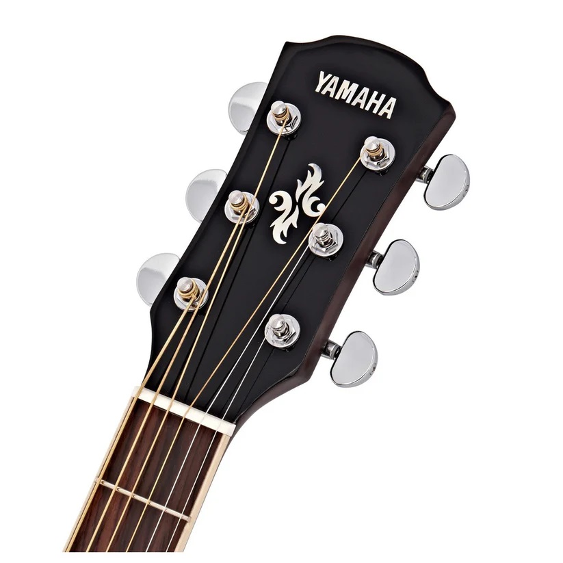 logo-dan-guitar-acoustic-yamaha-apx-600