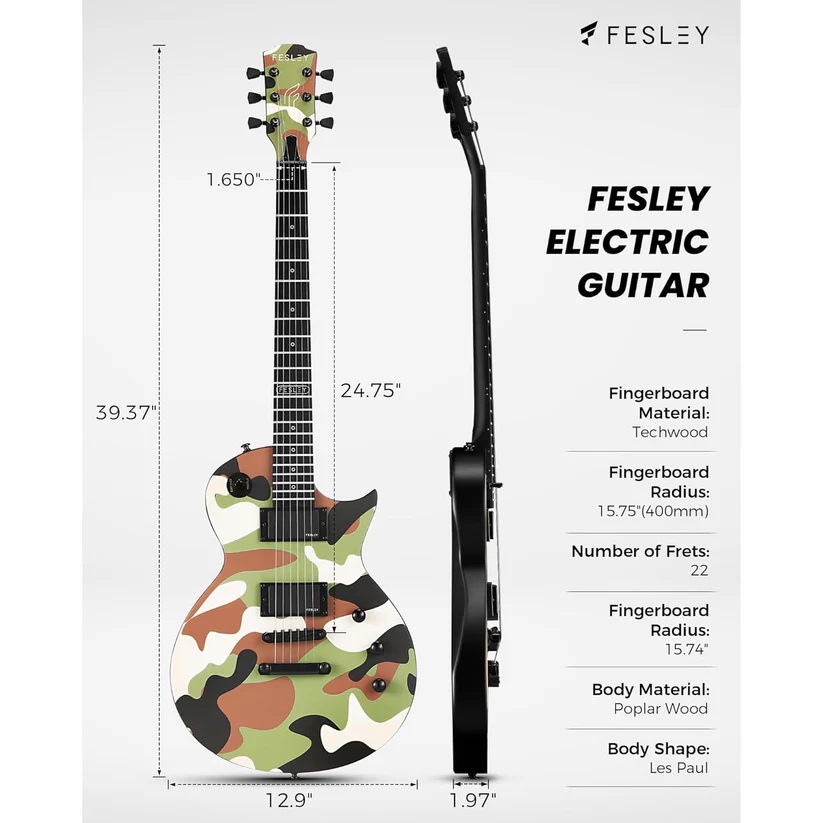 guitar-dien-fesley-flp400