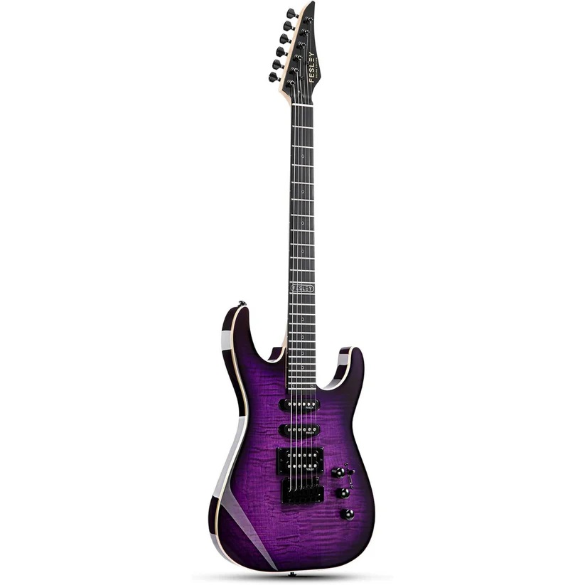 dan-guitar-dien-fesley-fdk-800-violet