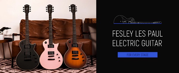 /dan-guitar-dien-fesley-flp350