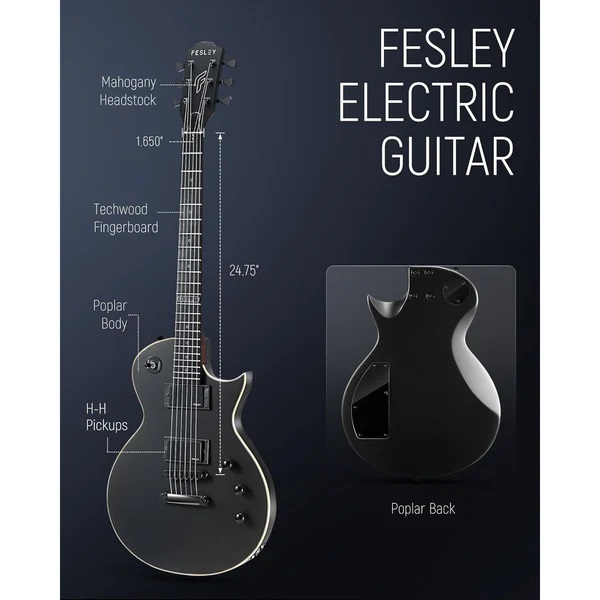 dan-guitar-dien-fesley-flp350