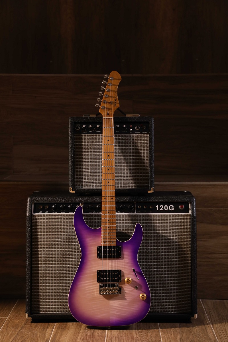 guitar-dien-sqoe-seib-650-violet-sunburs