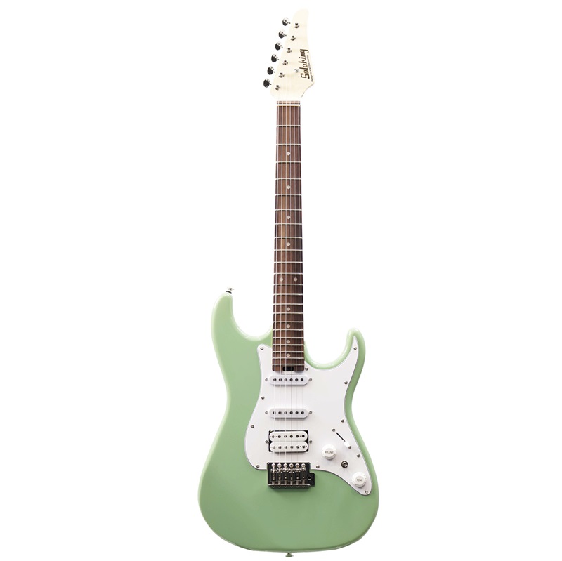 dan-guitar-dien-ms-1-basic-gr