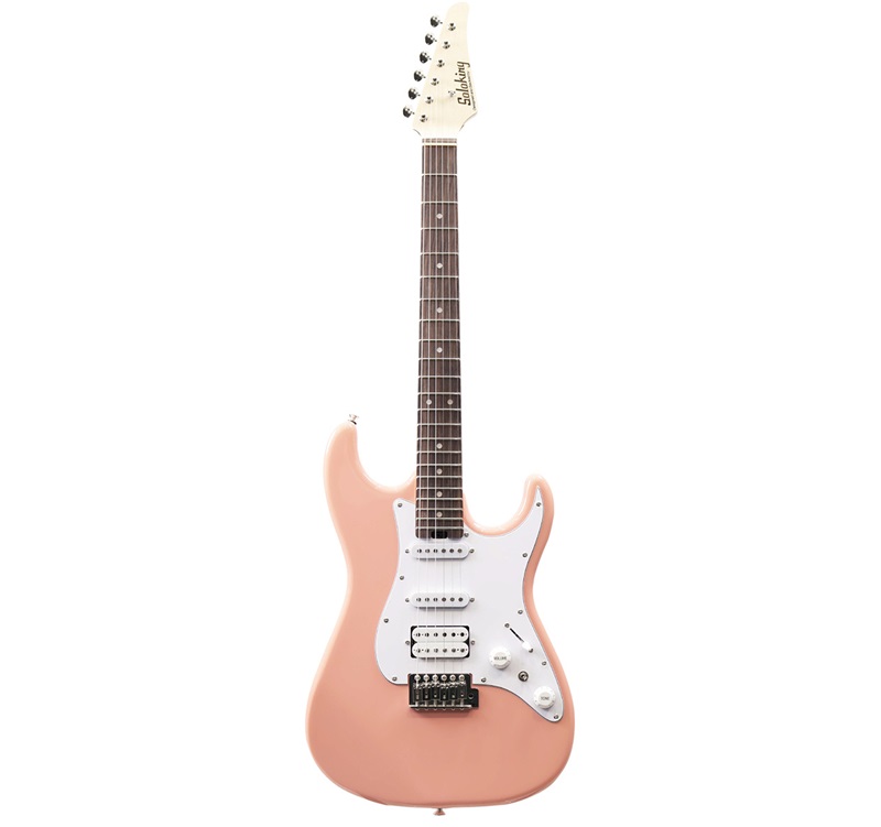 dan-guitar-dien-ms-1-basic-spk