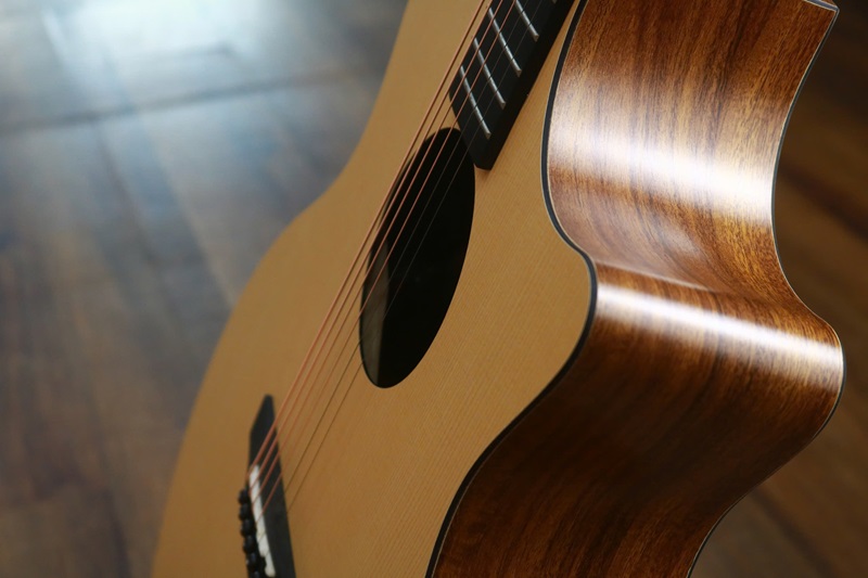 gia-dan-guitar-enya-eag-x0-eq-sp1