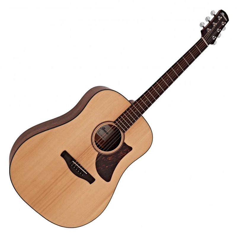 dan-guitar-acoustic-ibanez-aad100-open-pore