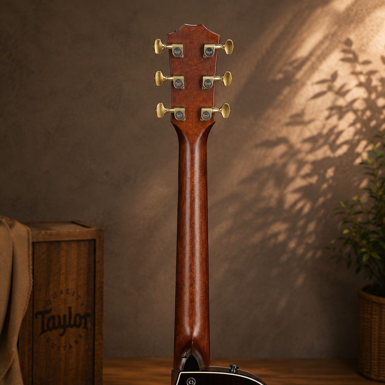 can-dan-va-mat-phim-dan-guitar-acoustic-taylor-builders-edition-814ce