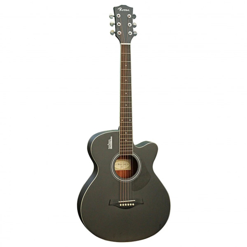 dan-guitar-acoustic-rosen-g12a