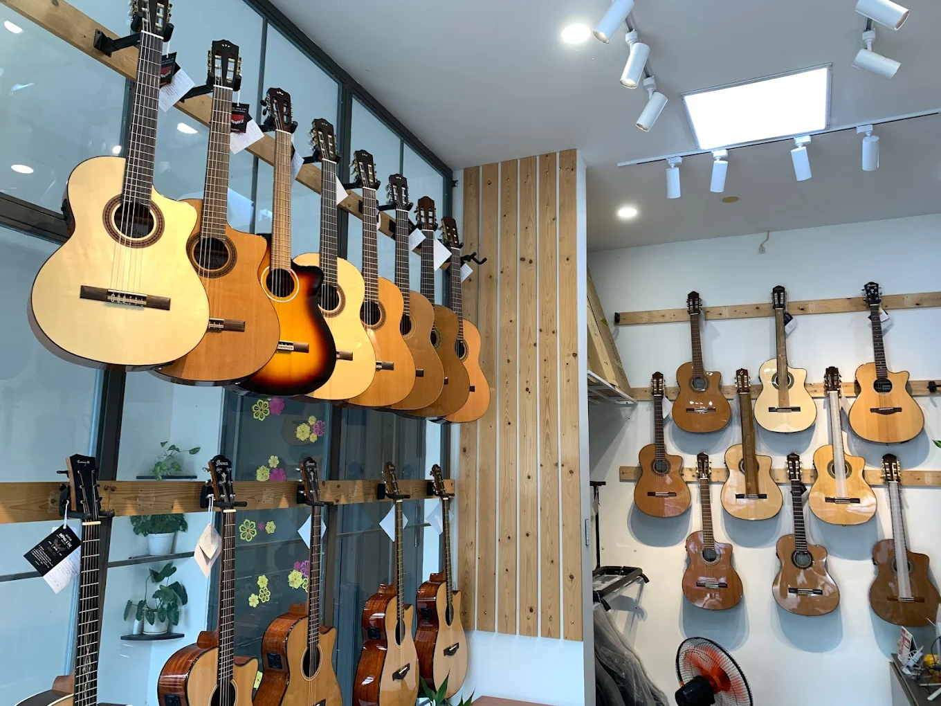 top-dan-guitar-cho-nguoi-moi-tap-tot-nhat-2026